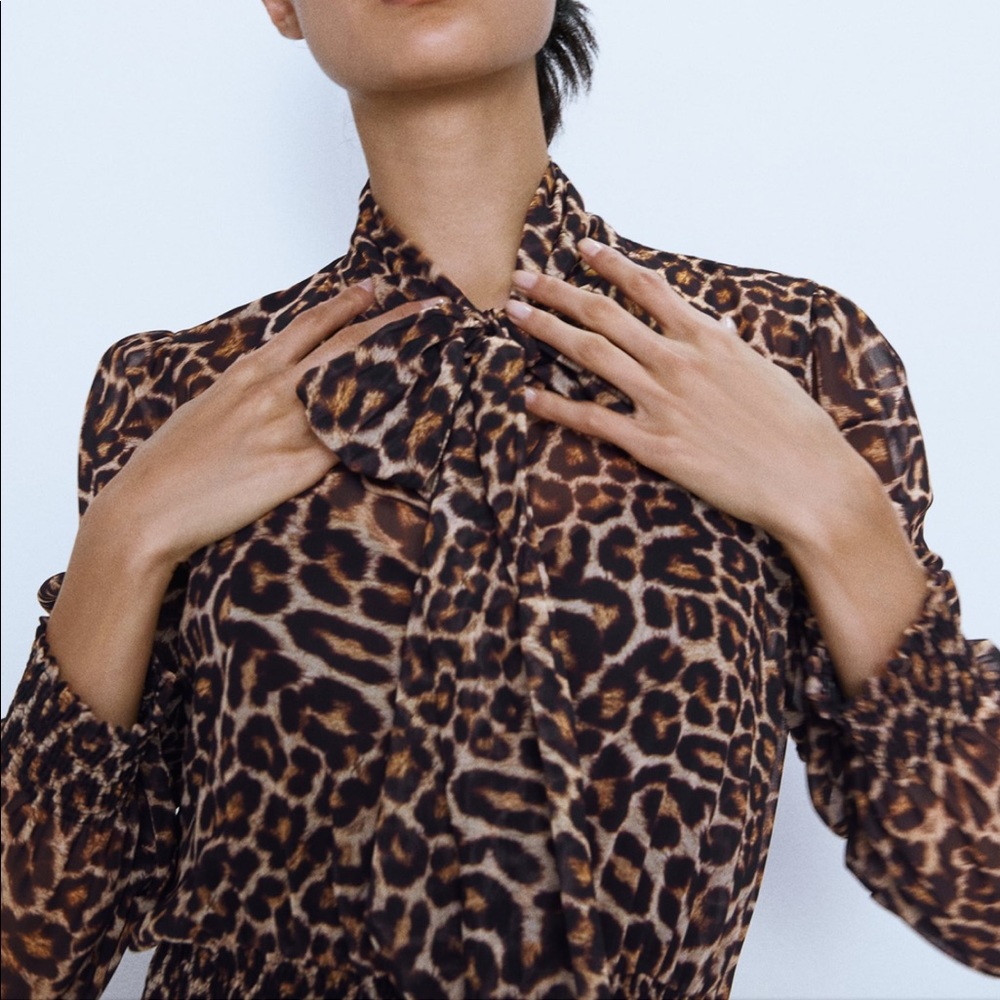 Zara animal print dress - Picture 3 of 9